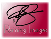 Raining Images - professional photography and design